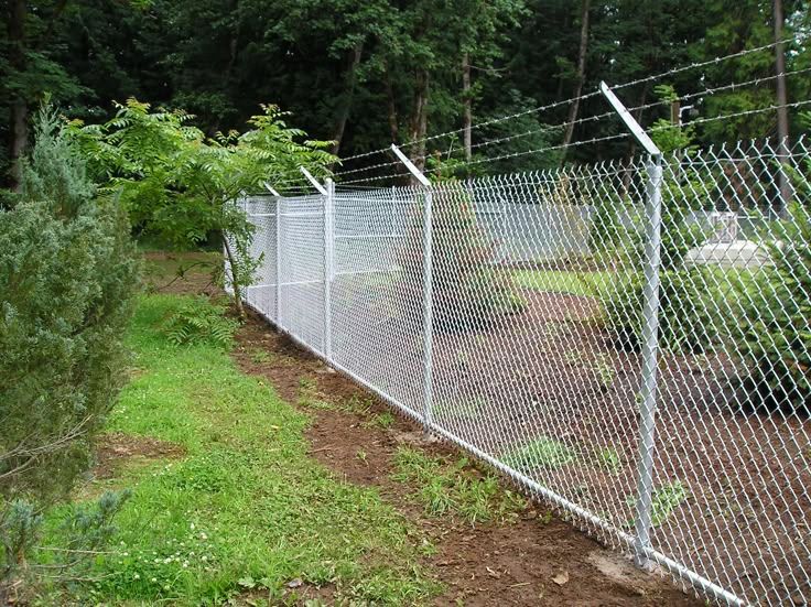 Barbed Wire Fence 1